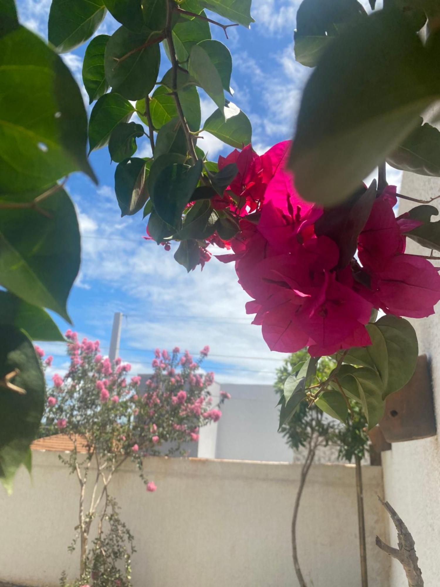 Queiroz Palace Hotel Siqueira Campos Eksteriør billede
