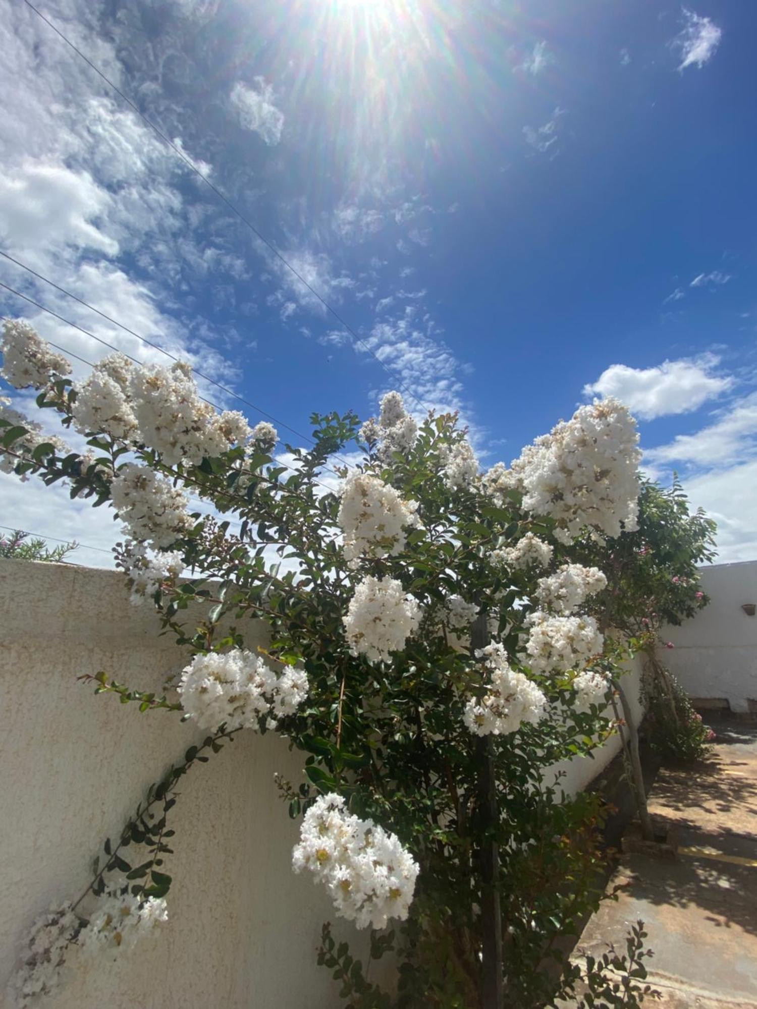 Queiroz Palace Hotel Siqueira Campos Eksteriør billede